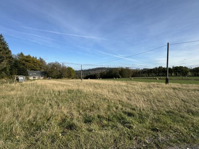 Blick auf Verkaufsfläche und Umgebung - Wiesen-/Landwirtschaftsfläche im Thüringer Wald