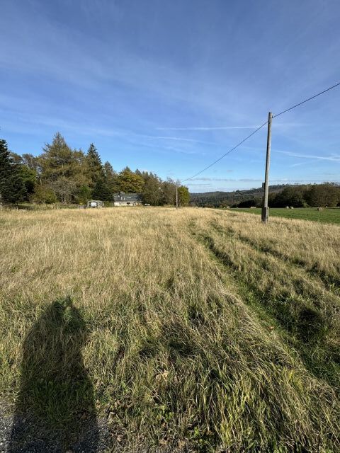 Blick auf Verkaufsfläche und Umgebung - Wiesen-/Landwirtschaftsfläche im Thüringer Wald