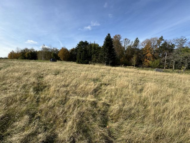 Blick von der Verkaufsfläche auf die Umgebung - Wiesen-/Landwirtschaftsfläche im Thüringer Wald