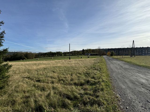Blick auf Verkaufsfläche, Zuwegung und Umgebung - Wiesen-/Landwirtschaftsfläche im Thüringer Wald