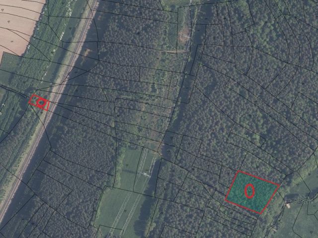 Lageskizze Flurstücke 271/6 und 315/4 - Wald-, Gehölz- und Grünlandfläche in Streulage nahe der Landesgrenze zu Bayern