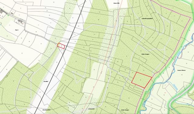Lageskizze Flurstücke 271/6 und 315/4 - Wald-, Gehölz- und Grünlandfläche in Streulage nahe der Landesgrenze zu Bayern