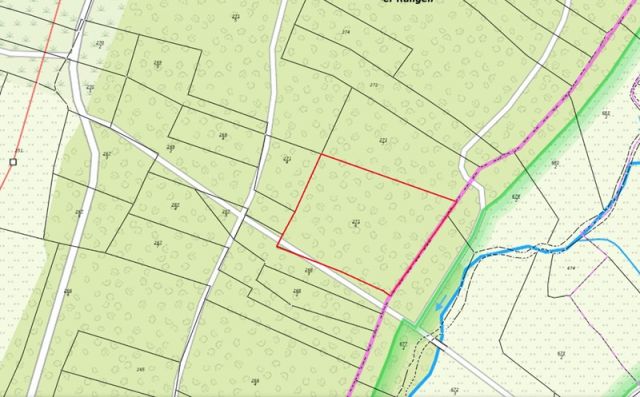 Lageskizze Flurstück 271/6 - Wald-, Gehölz- und Grünlandfläche in Streulage nahe der Landesgrenze zu Bayern