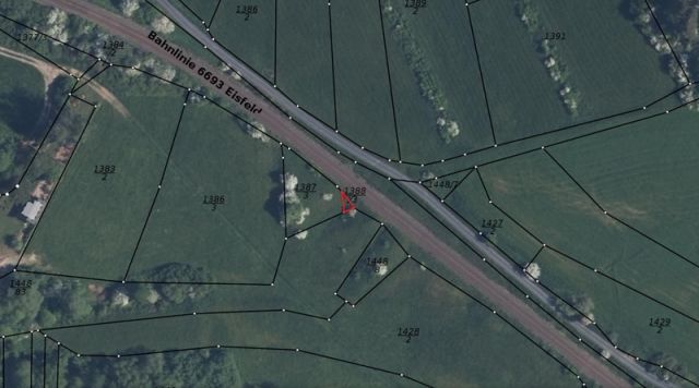 Lageskizze Flurstück 1388/3 - Wald-, Gehölz- und Grünlandfläche in Streulage nahe der Landesgrenze zu Bayern