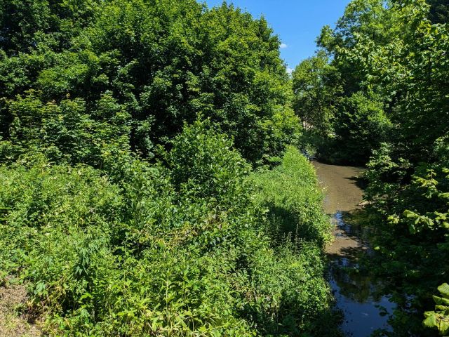 Blick auf Flurstück 64 und die Umgebung - Teilw. vertragslos genutzte Zuwegung und Freiflächen des DampfLandLeute-Museums Eslohe und Teilflächen des Gewässers ´Salwey´