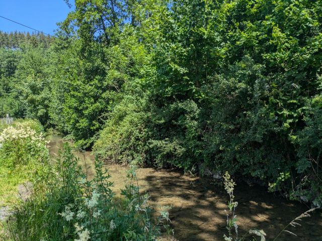 Blick auf Flurstück 95 - Teilw. vertragslos genutzte Zuwegung und Freiflächen des DampfLandLeute-Museums Eslohe und Teilflächen des Gewässers ´Salwey´