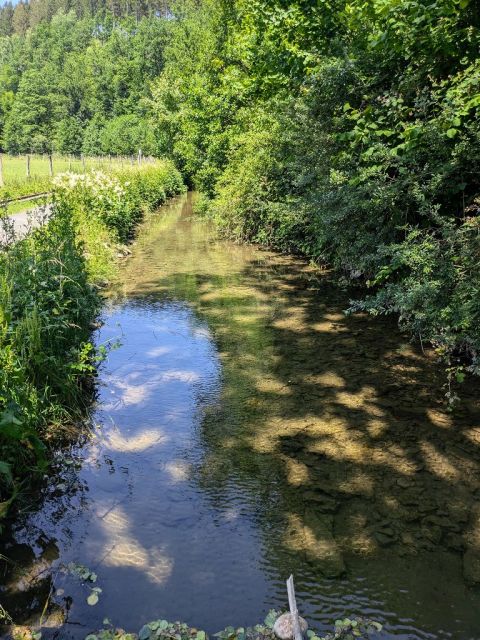 Blick auf Flurstück 95 und Umgebung - Teilw. vertragslos genutzte Zuwegung und Freiflächen des DampfLandLeute-Museums Eslohe und Teilflächen des Gewässers ´Salwey´