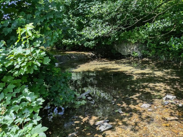 Blick auf Flurstück 95 und Umgebung - Teilw. vertragslos genutzte Zuwegung und Freiflächen des DampfLandLeute-Museums Eslohe und Teilflächen des Gewässers ´Salwey´