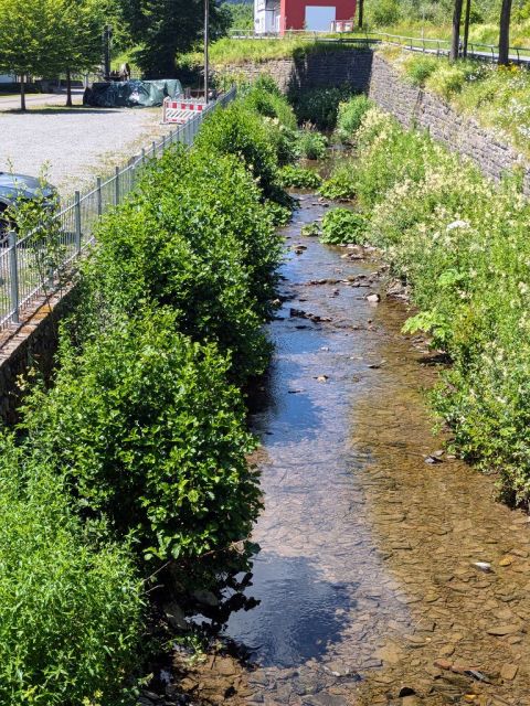 Blick auf Flurstück 93 und Umgebung - Teilw. vertragslos genutzte Zuwegung und Freiflächen des DampfLandLeute-Museums Eslohe und Teilflächen des Gewässers ´Salwey´