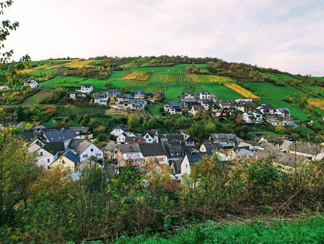 Blick vom Verkaufsflurstück in die Umgebung - Ortsnahe, ehemalige Weinbergsfläche in der Weinbaulage ´Kräuterberg´ im Oberen Mittelrheintal