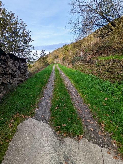 Weg vor dem Verkaufsflurstück - Ortsnahe, ehemalige Weinbergsfläche in der Weinbaulage ´Kräuterberg´ im Oberen Mittelrheintal