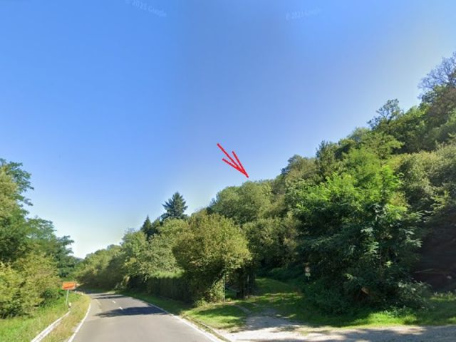 Blick auf ungefähre Lage der Verkaufsfläche und die Umgebung - Waldfläche oberhalb von Wohnbebauung im Oberen Mittelrheintal