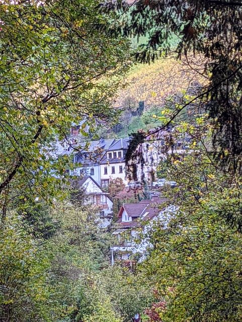 Blick vom Verkaufsflurstück in die Umgebung - Waldfläche oberhalb von Wohnbebauung im Oberen Mittelrheintal