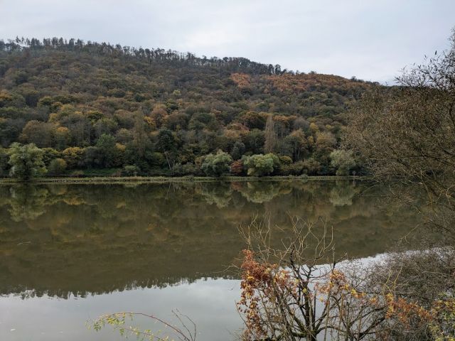 Blick in die Umgebung - Brachliegender, ehemaliger Weinberg in der Weinbaulage ´Pommerner Rosenberg´ oberhalb der Mosel