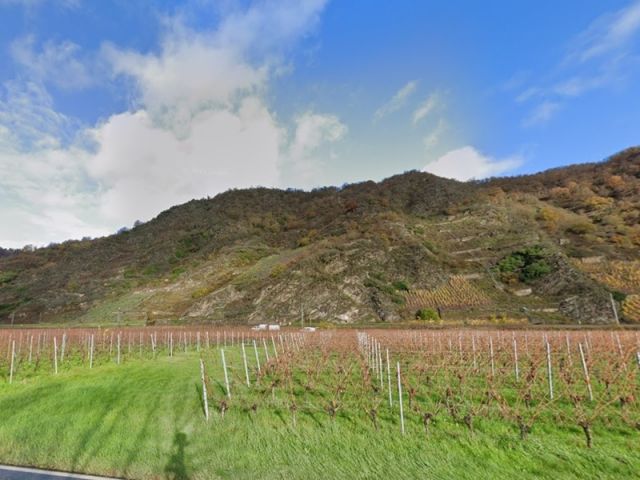 Blick Richtung Verkaufsflächen und Umgebung - Vertragsfreies Grundstück neben und oberhalb von Weinbergen in der Weinbaulage ´Pommerner Rosenberg´