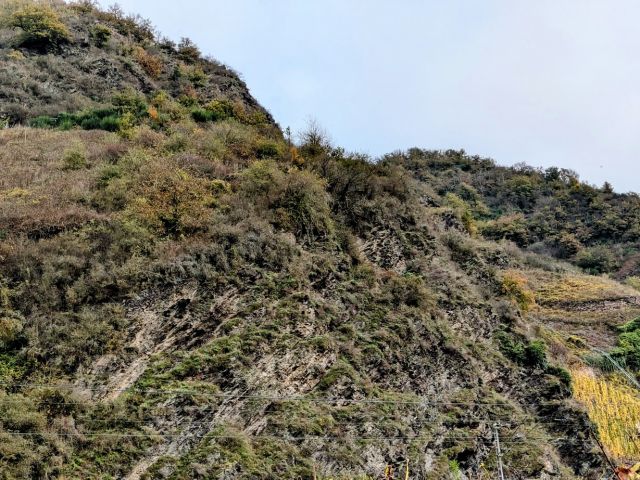 Blick auf Verkaufsobjekt und Umgebung - Vertragsfreies Grundstück neben und oberhalb von Weinbergen in der Weinbaulage ´Pommerner Rosenberg´