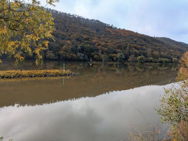 Blick in die Umgebung - Vertragsfreies Grundstück neben und oberhalb von Weinbergen in der Weinbaulage ´Pommerner Rosenberg´