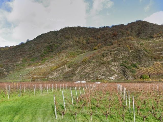 Blick Richtung Verkaufsflächen und Umgebung - Vertragsfreies Grundstück neben und oberhalb von Weinbergen in der Weinbaulage ´Pommerner Rosenberg´