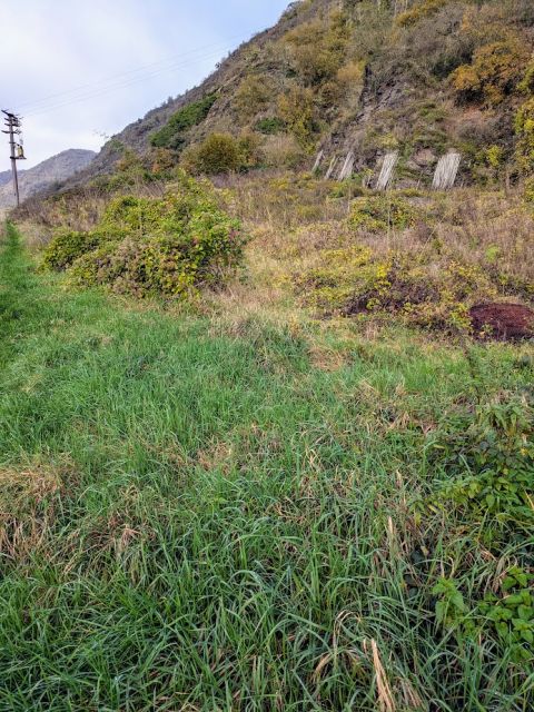 Blick auf Verkaufsflurstück 362/70 und Umgebung - Zwei Flächen in der Weinbaulage  ́Pommerner Rosenberg´, teilweise ehemalige Weinbergsterrassen