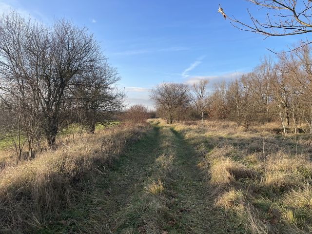 Zuwegung zur Verkaufsfläche - Vertragsfreie Wiesenfläche etwa 12 km von Halle/ Saale entfernt
