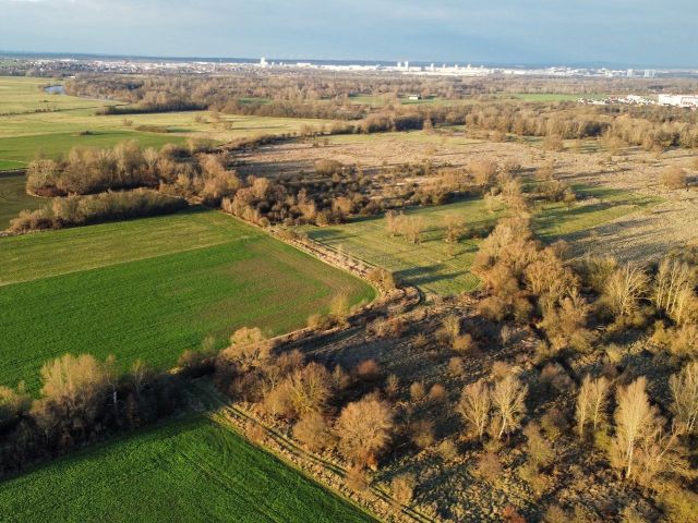 Blick auf die Verkaufsfläche und Umgebung - Vertragsfreie Wiesenfläche etwa 12 km von Halle/ Saale entfernt