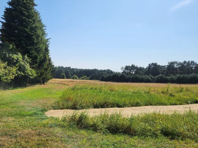 Blick Richtung Verkaufsfläche und Umgebung - Vertragsfreies Grundstück unweit vom Peenestrom **etwa 25 km von der Ostsee entfernt**