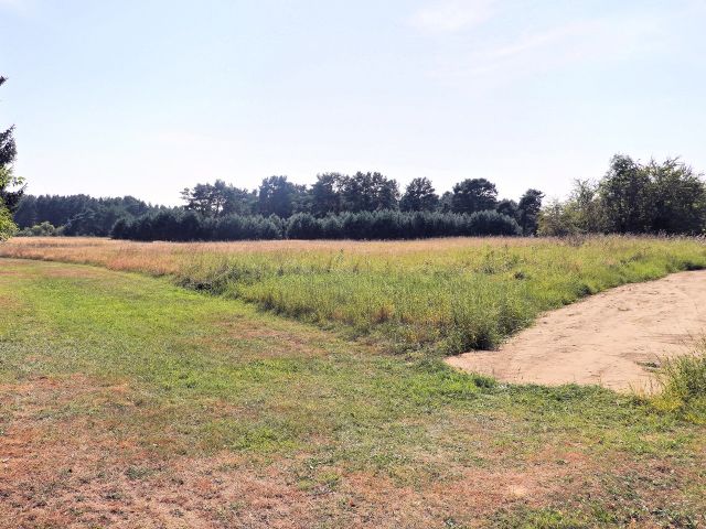 Blick Richtung Verkaufsfläche und Umgebung - Vertragsfreies Grundstück unweit vom Peenestrom **etwa 25 km von der Ostsee entfernt**