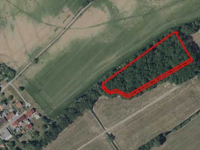 Lageskizze Flurstücke 59 und 60 - Überwiegend Forstwirtschaftsfläche - 9 teilweise zusammenhängende Flurstücke mit insgesamt über 2,2 ha