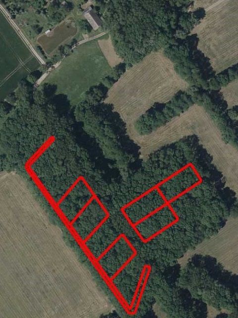 Lageskizze Flurstücke 94, 96, 98, 99, 83, 86 und 87 - Überwiegend Forstwirtschaftsfläche - 9 teilweise zusammenhängende Flurstücke mit insgesamt über 2,2 ha