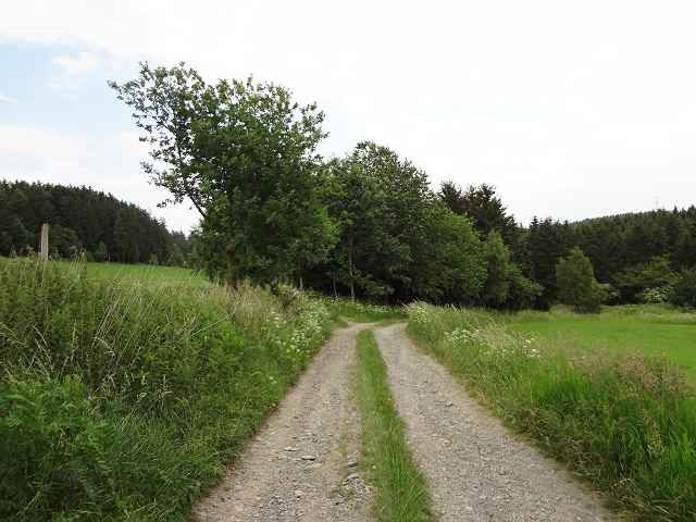 Blick auf Umgebung und Zuwegung zu den Flurstücken 506/3 und 506/4 - Aufnahme aus 2018 - 3 vertragsfreie Flächen im Naturpark Thüringer Schiefergebirge-Obere Saale