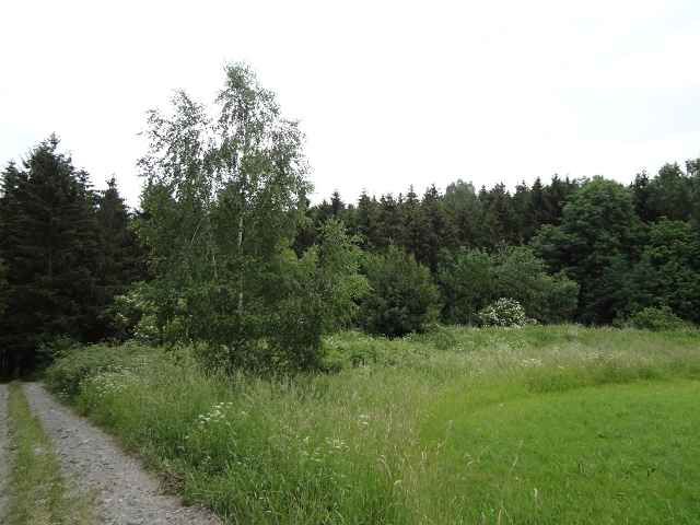 Blick auf Flurstücke 506/3 und 506/4 und auf die Umgebung - Aufnahme aus 2018 - 3 vertragsfreie Flächen im Naturpark Thüringer Schiefergebirge-Obere Saale