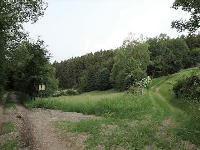 Blick auf Flurstücke 181/1 und 181/2 und Umgebung - Aufnahme aus 2018 - 3 vertragsfreie Flächen im Naturpark Thüringer Schiefergebirge-Obere Saale