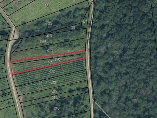 Lageskizze mit Luftbildunterlegung - Vertragsfreier Weinberg mit den Rebsorten Riesling und Regent **in altem Weinort an der Mittelmosel**