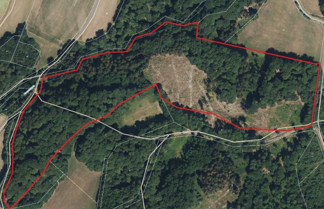 Lageskizze mit Luftbildunterlegung - 1/25 Miteigentumsanteil an einer Waldfläche mit über 65.000 m²