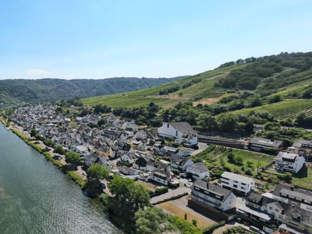 Umgebung - Blick Richtung Verkaufsfläche - Weinberg in Eigenbewirtschaftung mit der Rebsorte Riesling im Moseltal **sofortige Nutzung möglich**