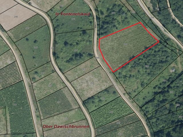 Lageskizze mit Luftbildunterlegung - Weinberg in Eigenbewirtschaftung mit der Rebsorte Riesling im Moseltal **sofortige Nutzung möglich**