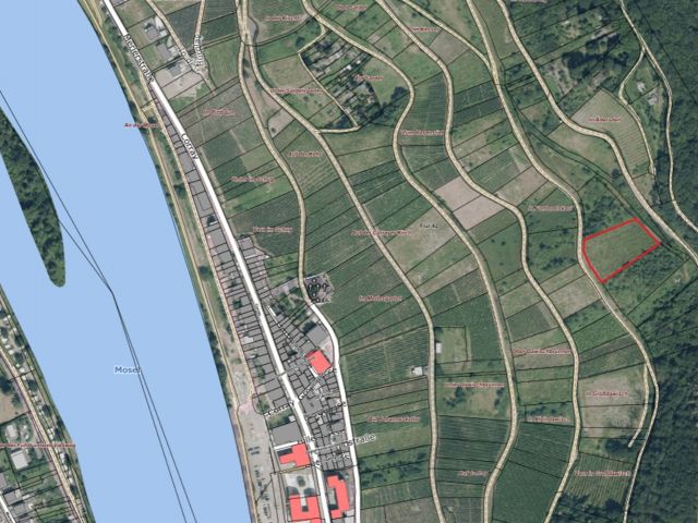 Lageskizze mit Umgebung und Luftbildunterlegung - Weinberg in Eigenbewirtschaftung mit der Rebsorte Riesling im Moseltal **sofortige Nutzung möglich**