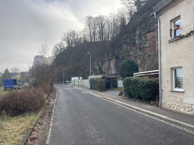 Verkaufsfläche und Umgebung - Vertragsfreier Steilhang (Wald-/Gehölzflächen) hinter Wohnbebauung