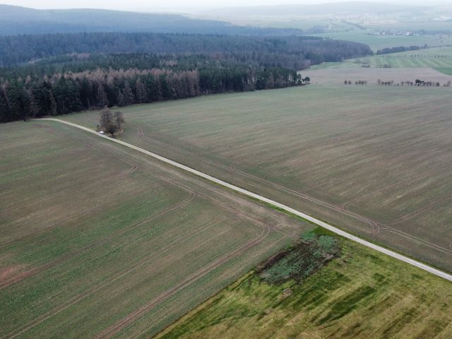 Verkaufsfläche und Umgebung - 1/2 Miteigentumsanteil an einer verpachteten Landwirtschaftsfläche nordwestlich der Kleinsiedlung Hetzeberg