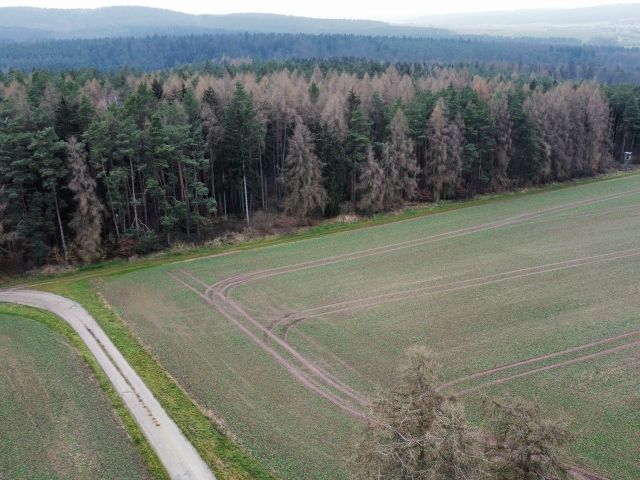 Verkaufsfläche und Umgebung - 1/2 Miteigentumsanteil an einer verpachteten Landwirtschaftsfläche nordwestlich der Kleinsiedlung Hetzeberg