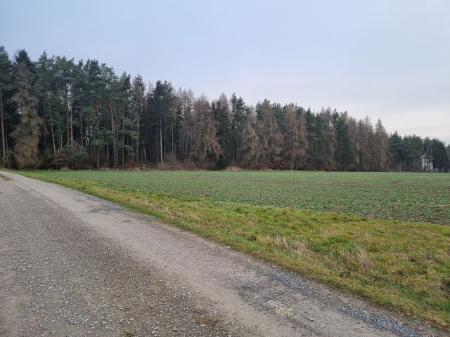 Verkaufsfläche und Umgebung - 1/2 Miteigentumsanteil an einer verpachteten Landwirtschaftsfläche nordwestlich der Kleinsiedlung Hetzeberg
