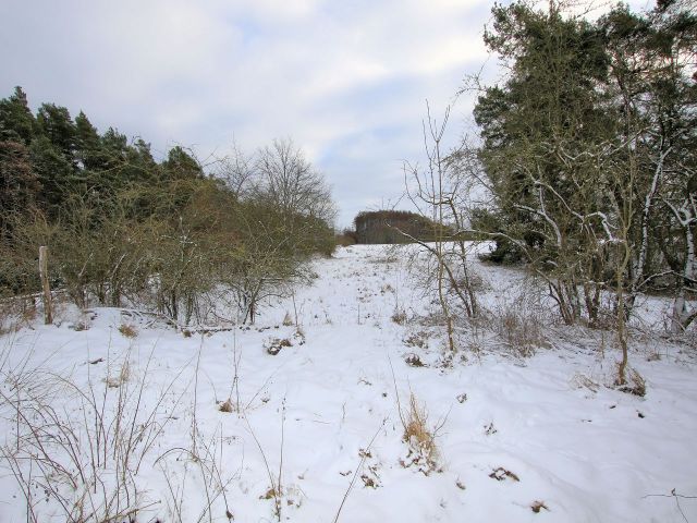 Freifläche - Ruinöses, ehemaliges Empfangsgebäude im Randbereich der Ueckermünder Heide und wenige Autominuten von Pasewalk entfernt
