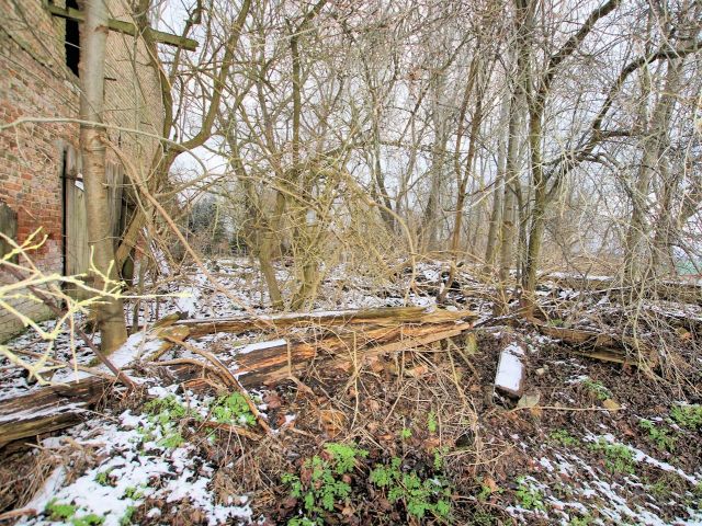 Ablagerungen auf der Verkaufsfläche - Vertragsfreies Grundstück mit ruinösem ehemaligen Stall-/Scheunegebäude **etwa 34 km von Usedom entfernt**