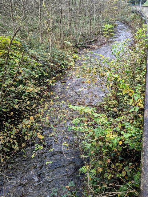 Umgebung - Endertbach - Vertragsfreie Waldfläche an der Endertstraße