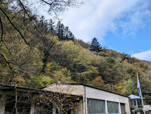 Umgebung- Gegenüberliegende Straßenseite - Vertragsfreie Waldfläche an der Endertstraße