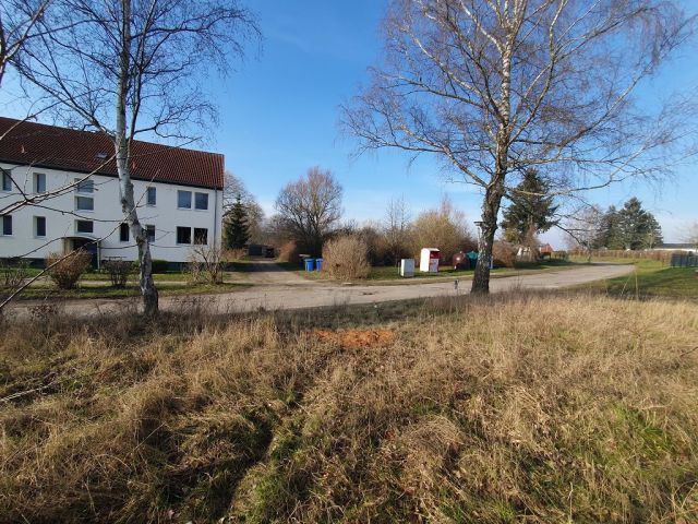 Blick von der Verkaufsfläche auf die Umgebung - Vertragsfreies Grundstück im Innenbereich von Langhagen in der Mecklenburgischen Seenplatte - Bauplatz