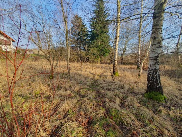 Blick auf Verkaufsfläche und Umgebung - Vertragsfreies Grundstück im Innenbereich von Langhagen in der Mecklenburgischen Seenplatte - Bauplatz