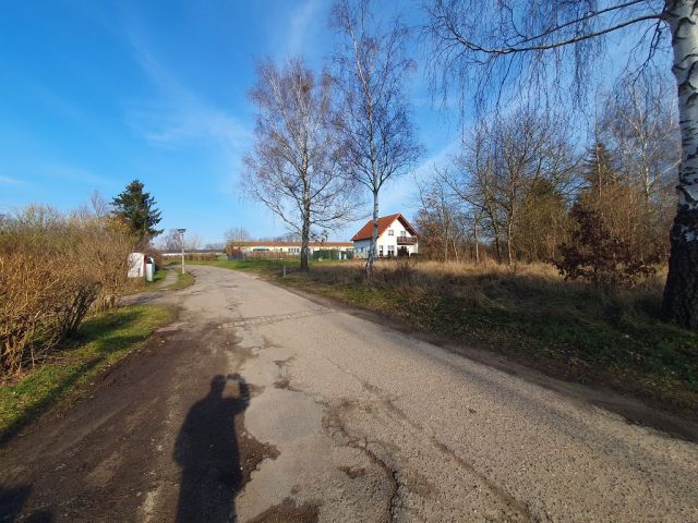 Straßenansicht - Verkaufsfläche rechte Seite - Vertragsfreies Grundstück im Innenbereich von Langhagen in der Mecklenburgischen Seenplatte - Bauplatz