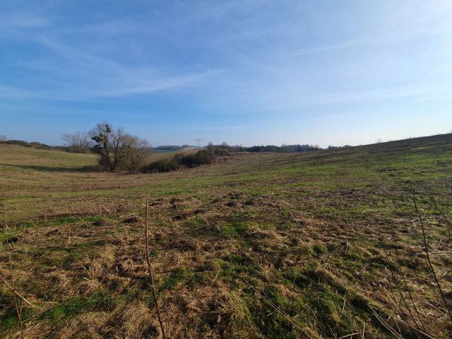 Blick auf rückwärtige Umgebung - Vertragsfreies Grundstück im Innenbereich von Langhagen in der Mecklenburgischen Seenplatte - Bauplatz