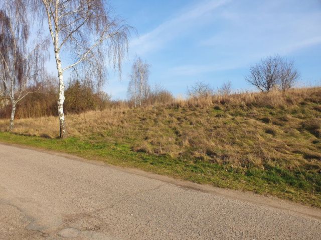 Blick auf Verkaufsfläche und Umgebung - Vertragsfreies Grundstück im Innenbereich von Langhagen in der Mecklenburgischen Seenplatte - Bauplatz